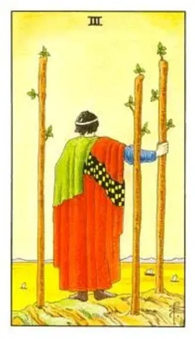 Thị Đồng Đồng Xu